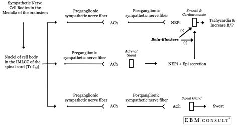 beta blockers and sweating
